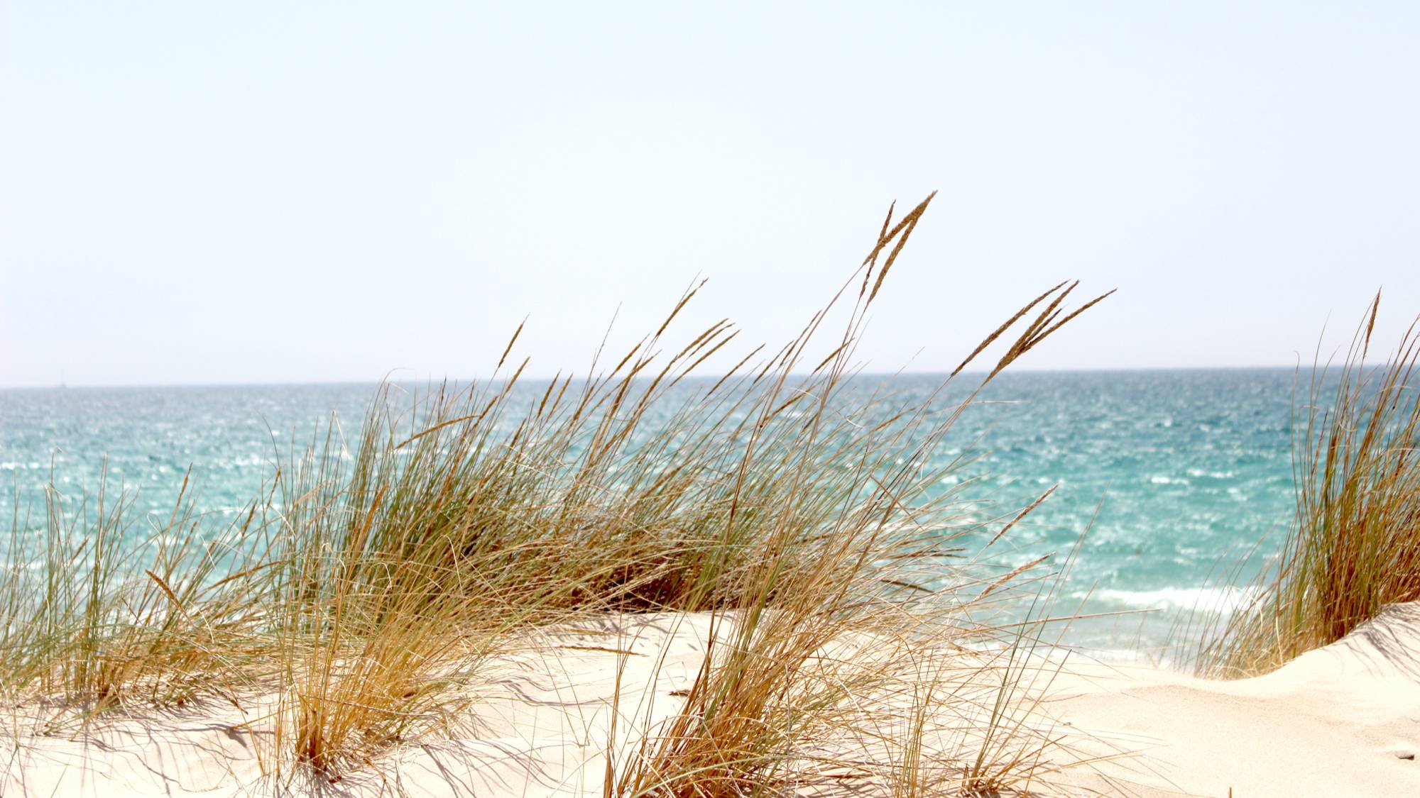 Lindstrom Funeral Homes Cresco, Lime Springs, Riceville, IA and